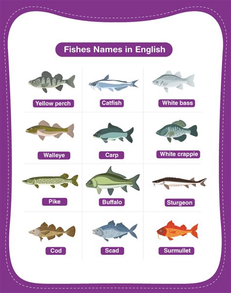 Local and English names of common fish and.